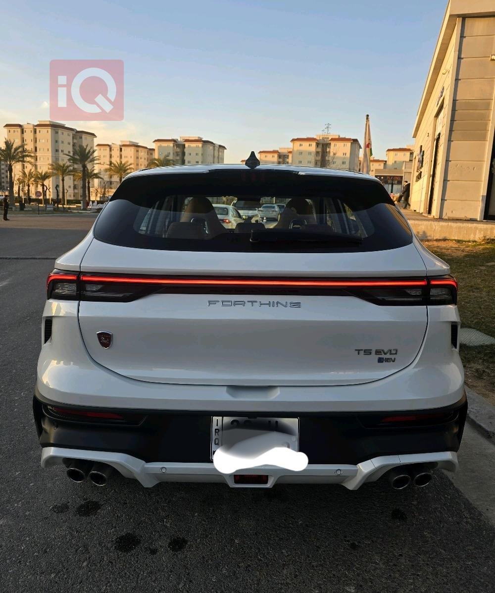 دونج فينج T5 EVO